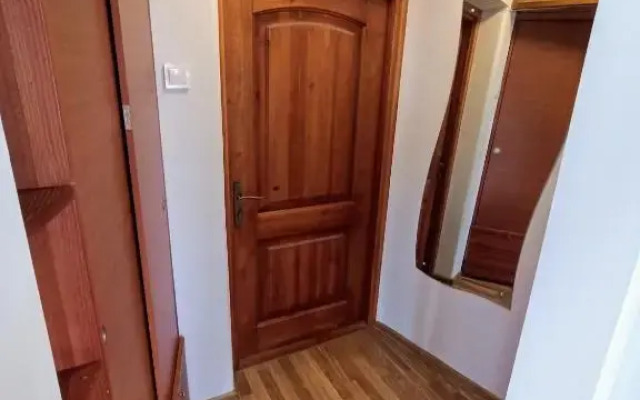 Bird's view