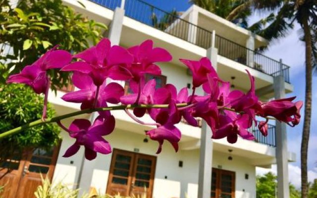Sanford Guest House in Ahangama, Sri Lanka from 137$, photos, reviews - zenhotels.com hotel front
