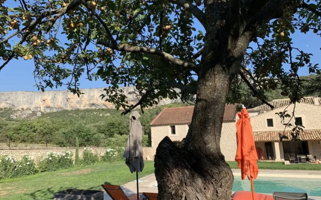 Le Mas aux Cèdres