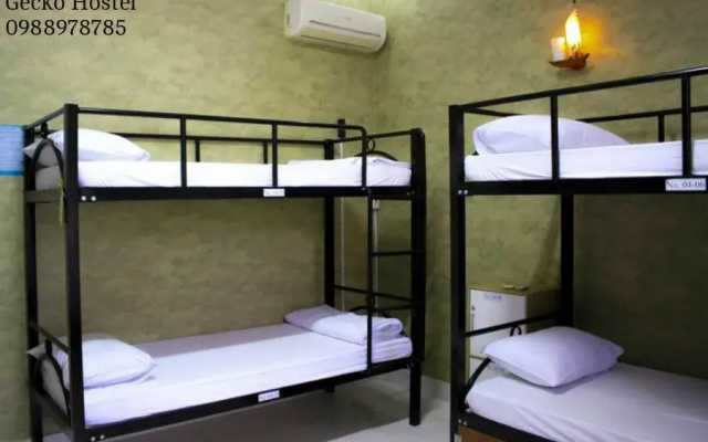 Gecko Hostel