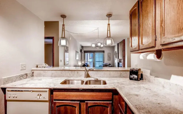 Village At Breckenridge: Shavano #2504