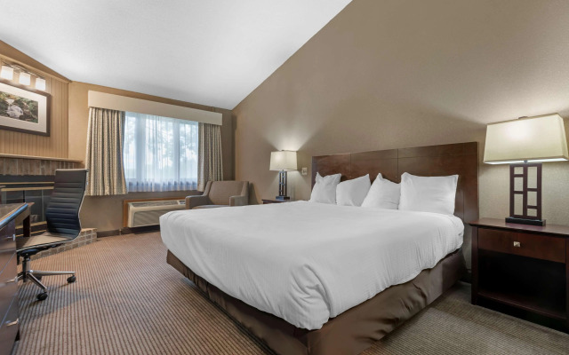 Best Western University Inn