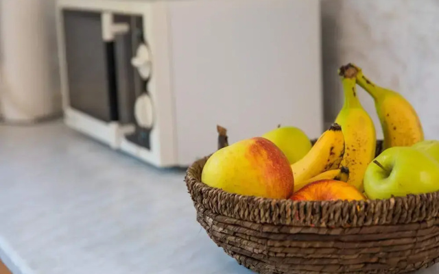 Apartments Vidak - One Bedroom Apartment With Terrace and Pool View -