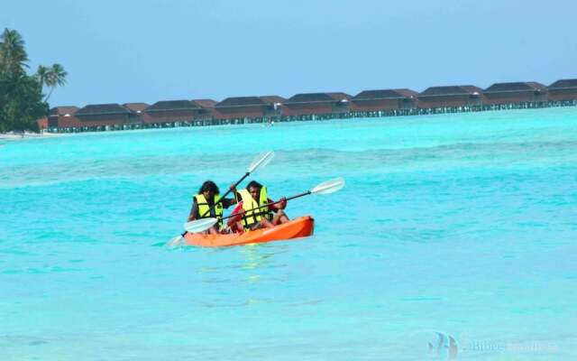 Bibee Maldives 1