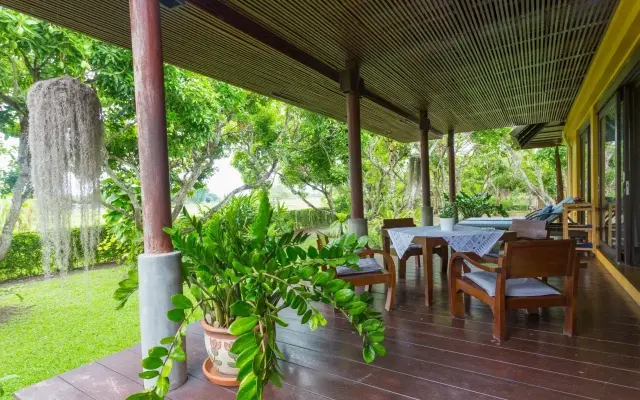 The Tropical Escape