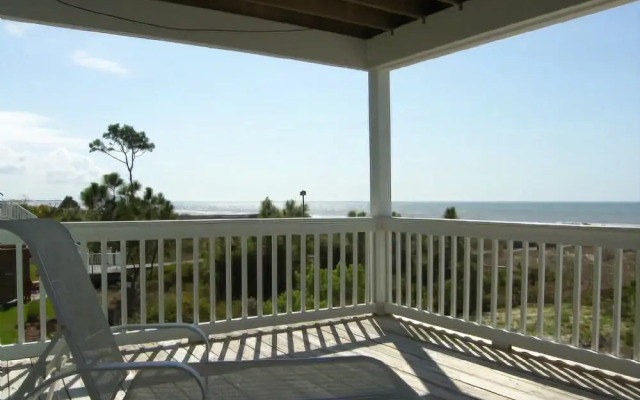 Dolphin View