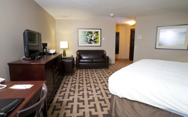 Bear Claw Casino & Hotel