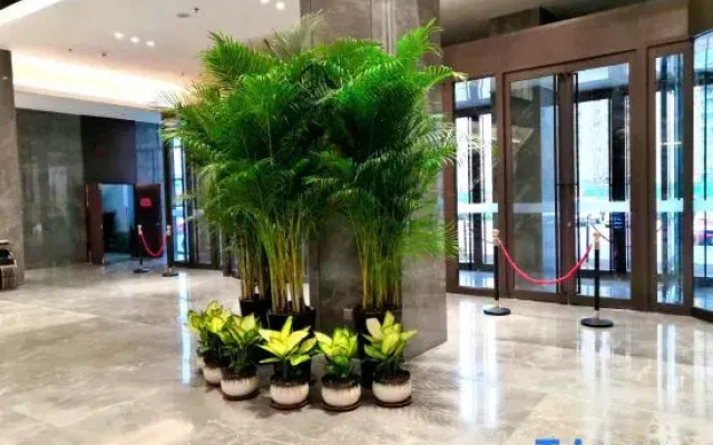 Wandu Hotel