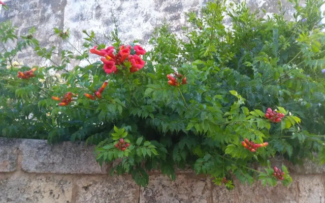 Casetta Vacanza in Campagna
