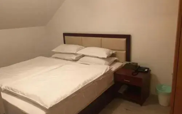 Hotel Muse