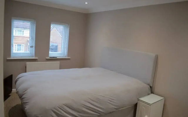 Newly Renovated Modern Family Home
