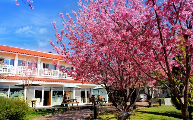 Cingjing Guest House