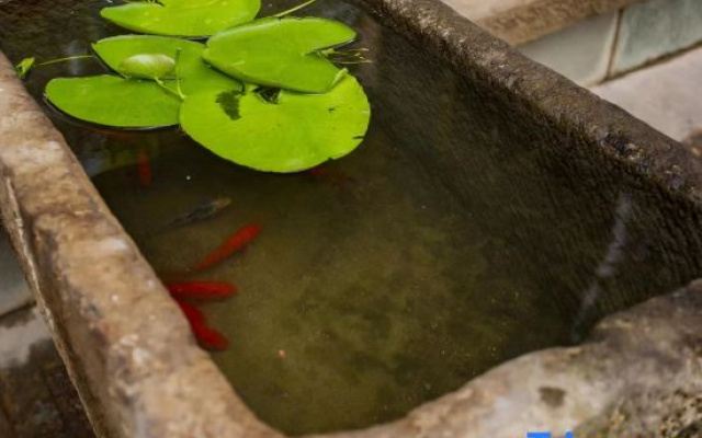 Jianchuan Xiyuan Homestay