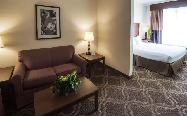 Holiday Inn Lubbock South