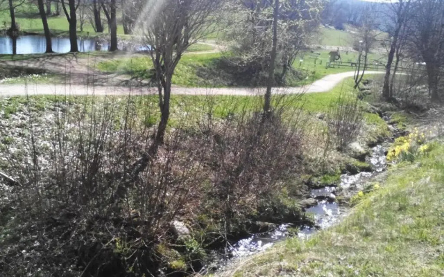 Apartment Schluchsee