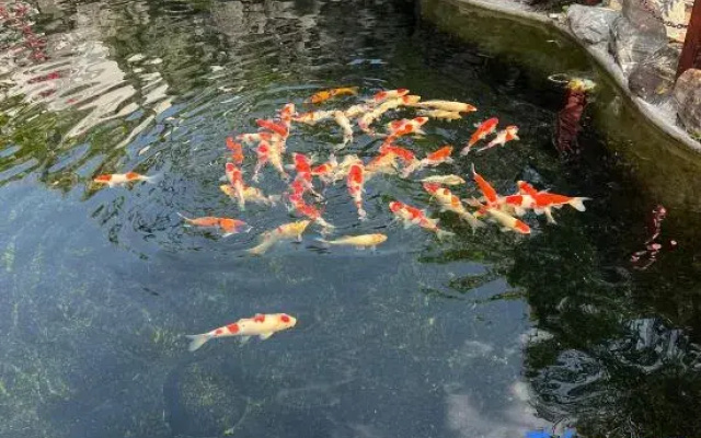 MangShi LiangJin homestay