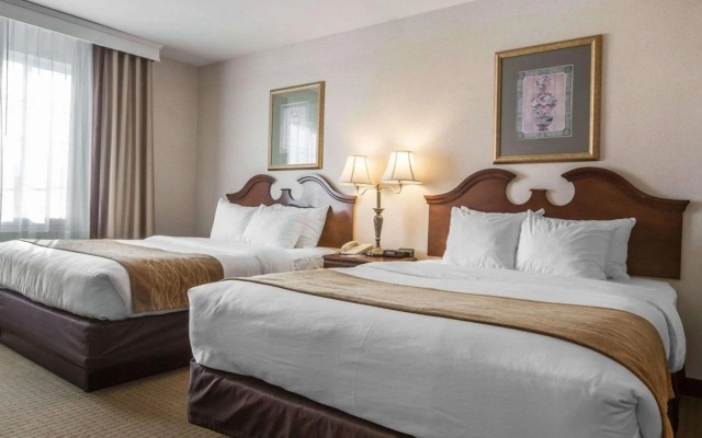 Comfort Inn & Suites East Greenbush - Albany