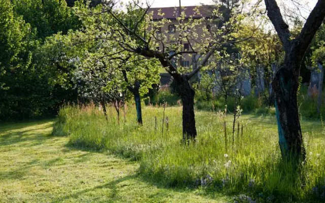 B&B Montenavale