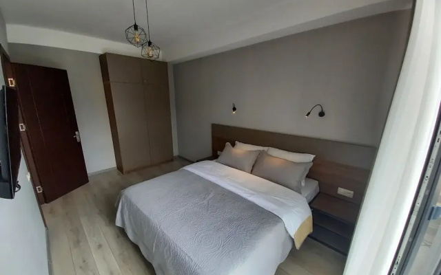 Bakuriani Crystal Loft 406