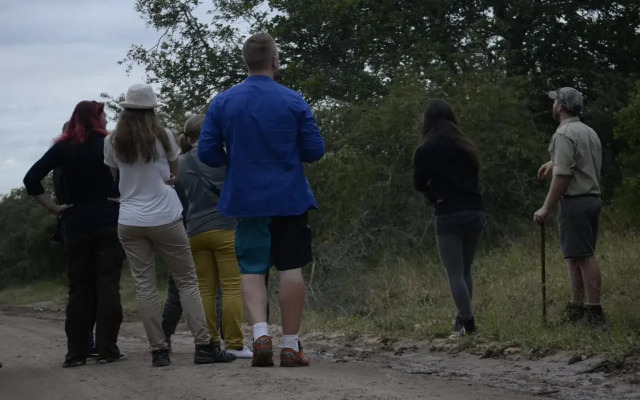 Panzi Lodge