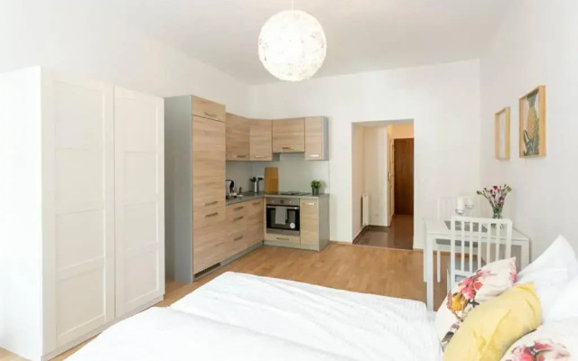 Studio-Apartment between Schoenbrunn & the City Center (13)
