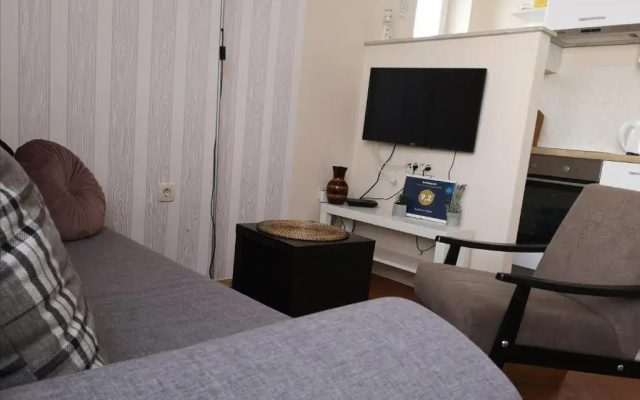 Apartment Nika