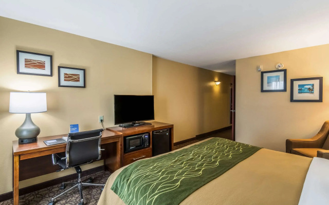 Comfort Inn & Suites Panama City North