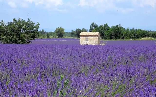 L Olivadou B&B