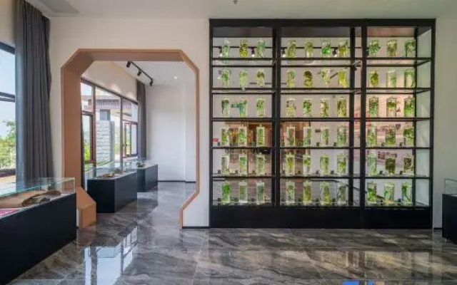 Yaowanggu Kangyang Hotel