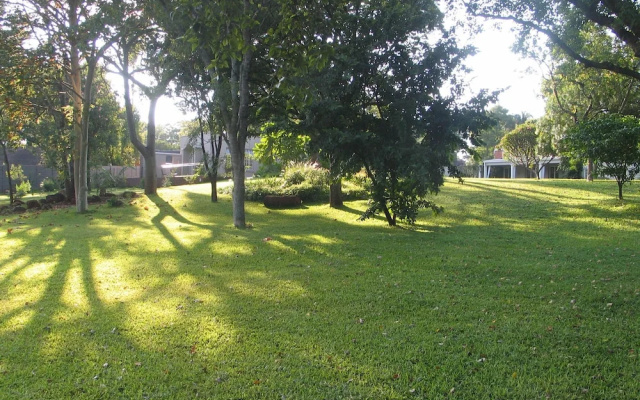 Modern Studio set an Expansive Garden - 2253