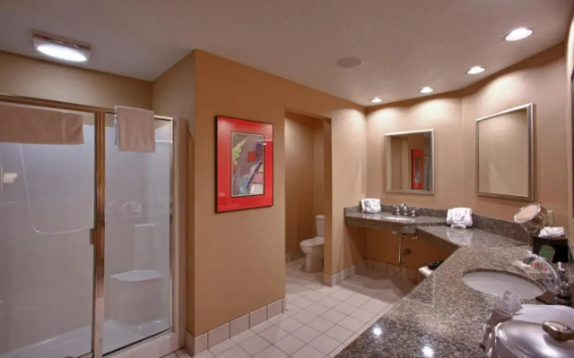 Holiday Inn Hotel & Suites St. Paul NE - Lake Elmo
