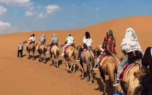 Tengger Desert Yingsha Good - dream Desert Campground