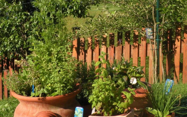 Birnbacher-appartement