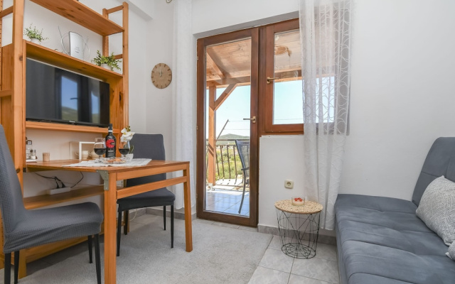 Apartment Ivo