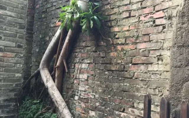 Nanshe Renjia Hostel