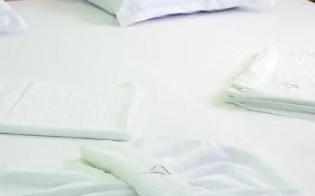 Altay Guest House