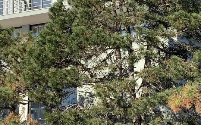 Bazalt Club Hotel