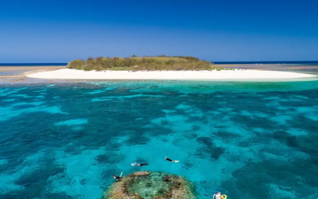 Wilson Island