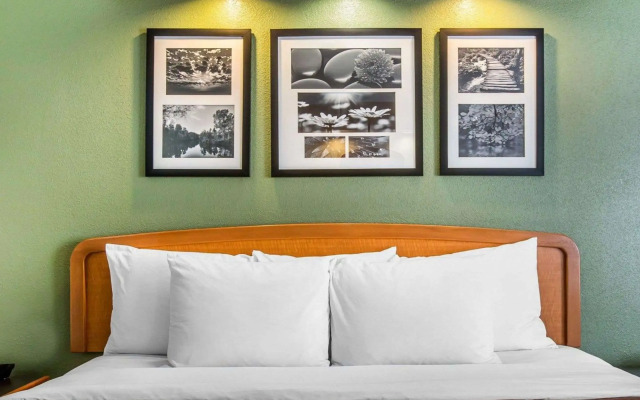 Sleep Inn and Suites