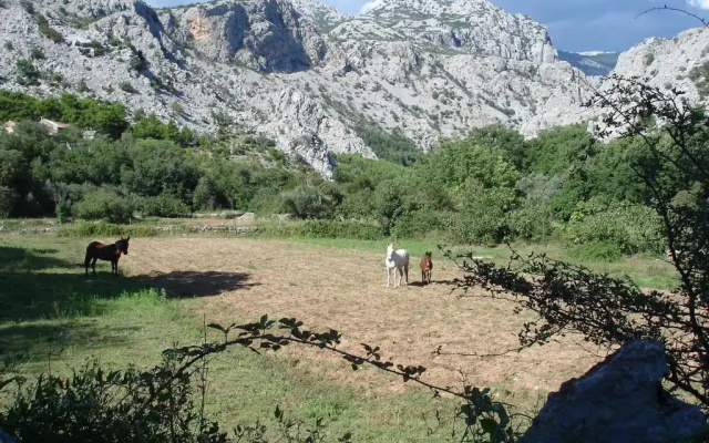 Holiday Home Paklenica