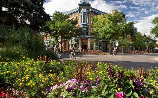 Hidden Gem Near Old Town, BBQ & Bikes!!