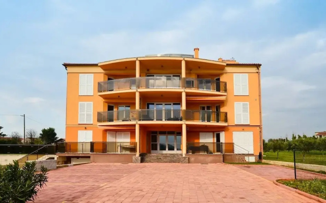 Apartment Andrea L Pula