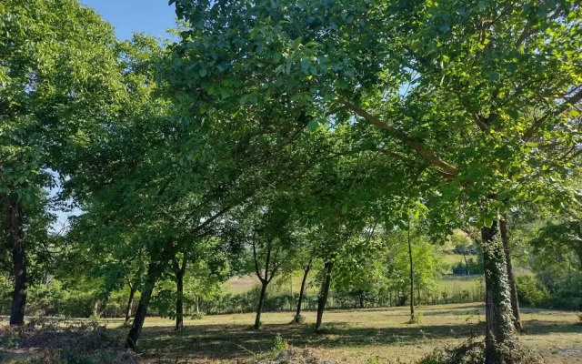 Villa With Pool in the Green Monferrato · Botto Living