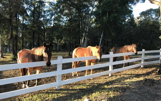 The Woods Farm Jervis Bay