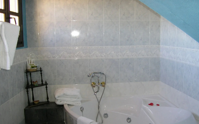 Hotel Palacio Guzmanes