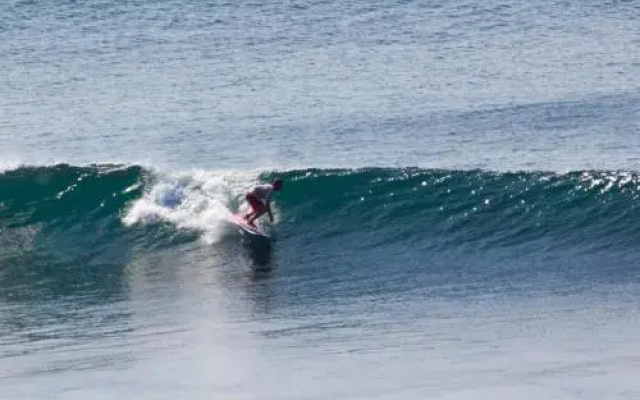 Wimal Wood Stock Surf House
