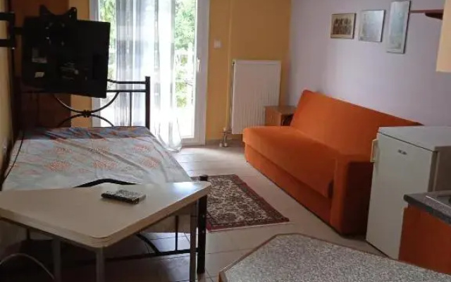 Marianna's studio