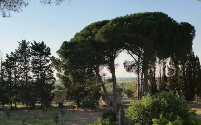 Agriturismo Occhineri