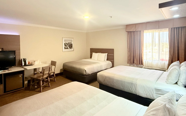 Quality Inn & Suites Los Angeles Airport - Stadium District