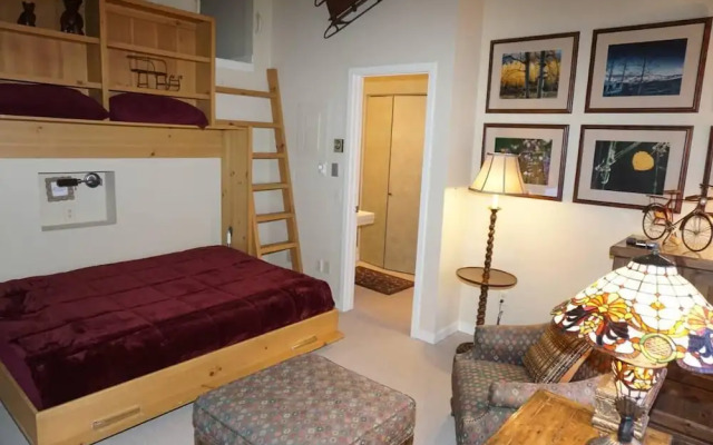 Large Wood Run 6 Bedroom Ski-in / Ski-out Access Home by RedAwning